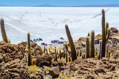 Turistler arabayı Salar de Uyuni tuz Incahuasi Island Park 