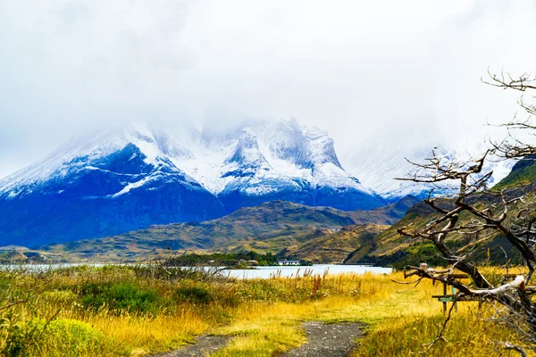 Vue sur la montagne au lac Pehoe — Photo