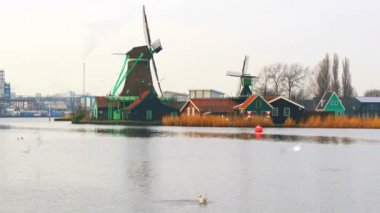 Yel değirmenleri ve martılar Zaanse Schans'a Köyü'nde görünümünü