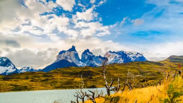 Θέα στο όμορφο βουνό στο εθνικό πάρκο Torres Paine — Αρχείο Βίντεο