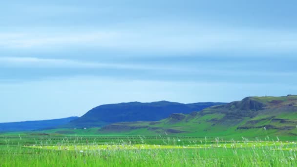 在早上的冰岛景观 — 图库视频影像