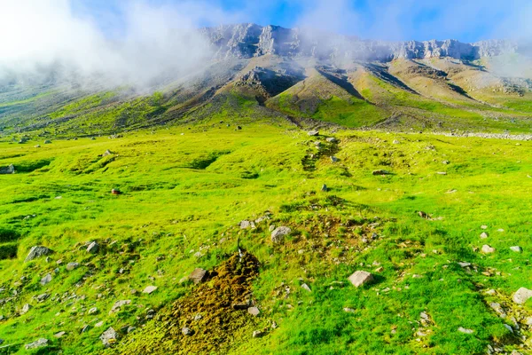 Vista de la montaña y el campo verde de Islandia — Foto de Stock
