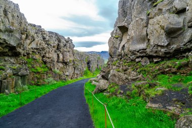 Orta Atlantik Sırtı Thingvellir Milli Parkı'nda kret
