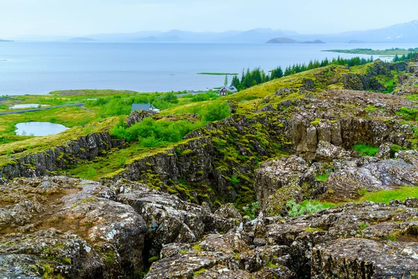 Iceland summer landscape at Thingvellir National Park — Stock Photo, Image