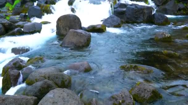 Oxarafoss vattenfall i Þingvellir nationalpark på Island — Stockvideo