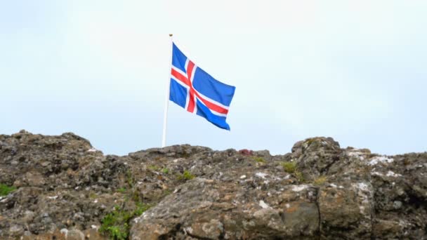 Flag of Iceland waving in the wind — Stock Video