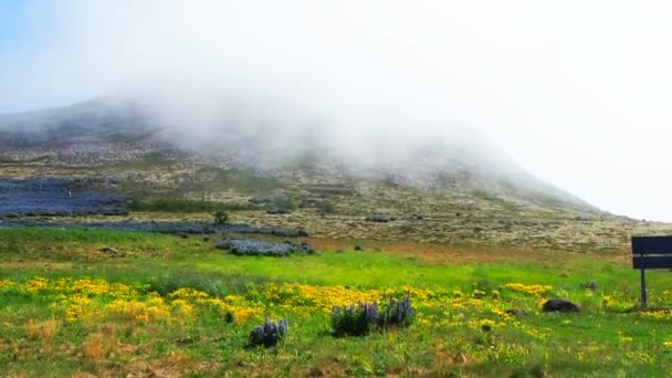 Nube que fluye sobre el campo de flores y montaña — Vídeo de stock