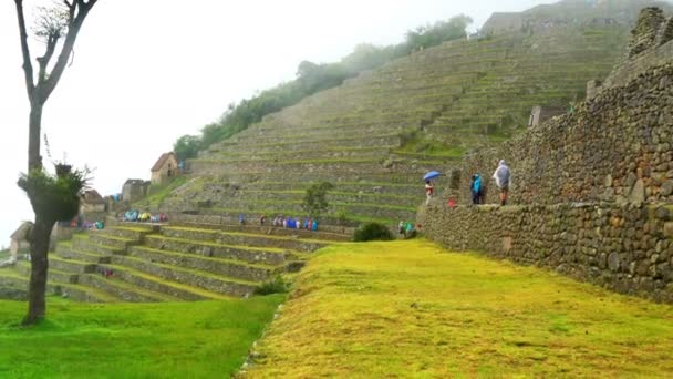 Widok z Machu Picchu w dzień pada deszcz — Wideo stockowe