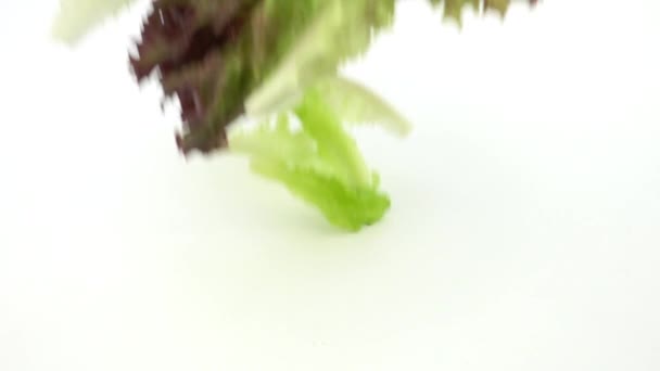 Vários Vegetais Caindo Chão Branco Câmera Lenta Vista Superior Legumes — Vídeo de Stock
