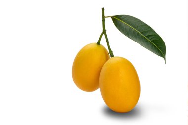 Olgun Marian Erik yapraklı beyaz arka planda kırpma yolu ile izole edilmiş. Tatlı sarı Marian eriği Tropikal meyve yaz mevsiminde olgunlaşır.