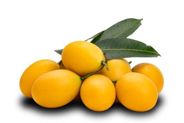 Beyaz arka planda yaprakları ve kırpma yolu olan olgun Marian Erik yığını. Taze toplanmış olgun tatlı sarı Marian erik meyvesi yığını beyaz üzerine.