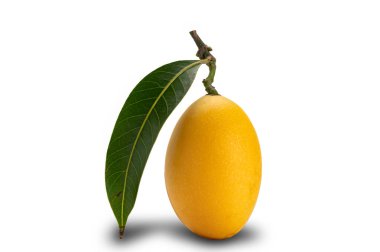 Beyaz arka planda kırpma yolu ile taze toplanmış taze Marian Erik meyvesi yan görünümü.