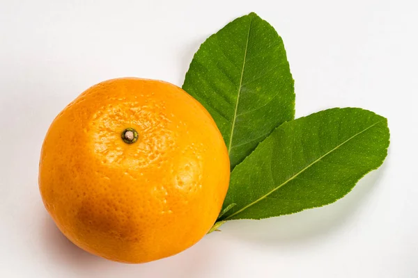 Wysoki Kąt Widzenia Pojedynczej Mandarynki Pomarańczowy Liści Białym Tle Ścieżką — Zdjęcie stockowe