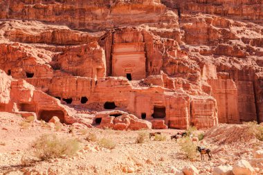 Kayıp şehir Petra'dan, mezarları