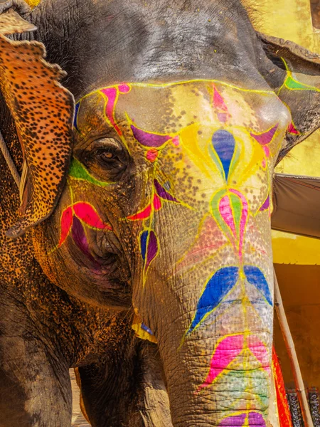 Elefant på amber fort — Stockfoto
