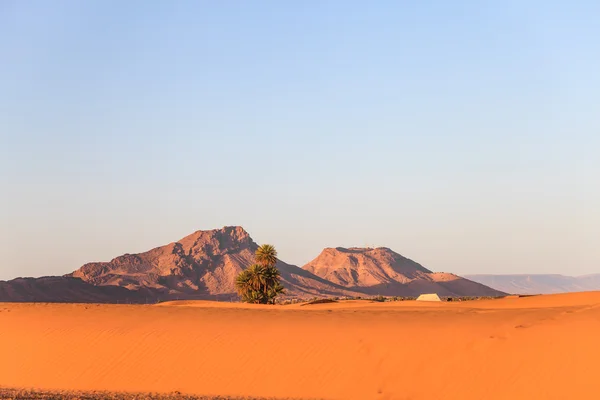 Sahara desierto — Foto de Stock