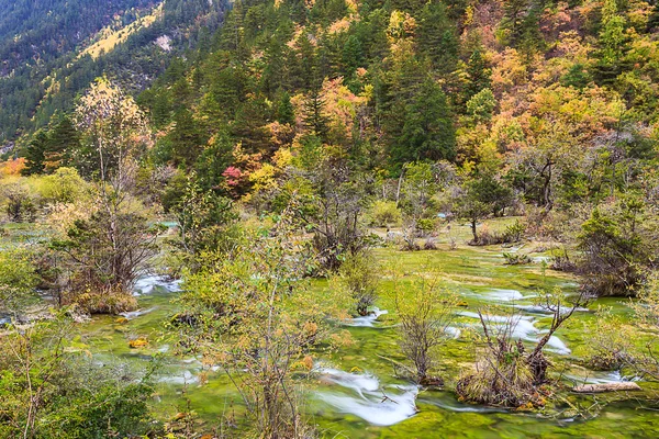 Farbenfroher Jiuzhaigou-Nationalpark im Herbst — Stockfoto
