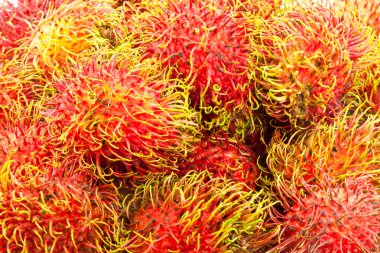 Rambutan
