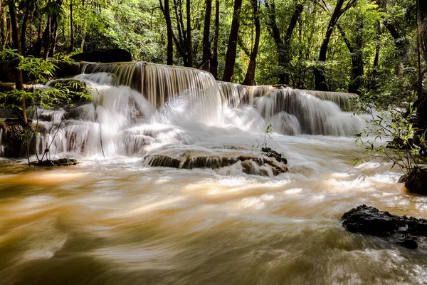 Air terjun di hutan hujan tropis — Stok Foto