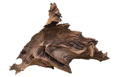 Orkide dikmek için kullanılmayan boş bir odun. Kırpma yolu ile beyaz arka planda izole edilmiş. Orkide dikmek için zarif bir çürük odun..