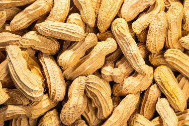 Soyulmamış Fıstık ya da yerfıstığı ya da Arachis hipogaea arka planının üst görüntüsü. Yerde kabuklu yer fıstığı.