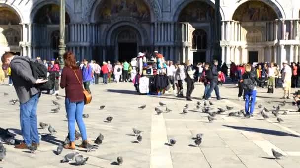 Skara turister och fåglar vid basilikan Saint Mark — Stockvideo