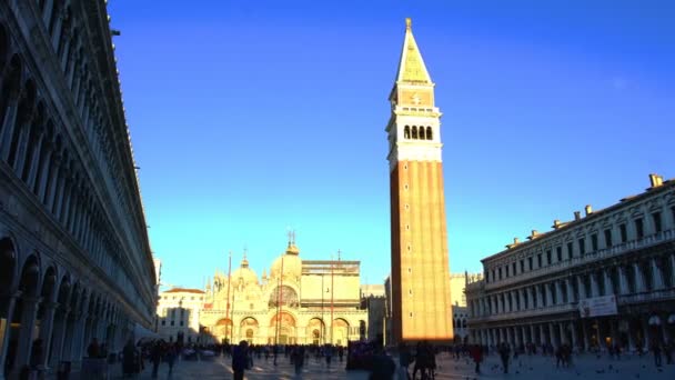 Kalabalık turist in Plazza San Marco — Stok video