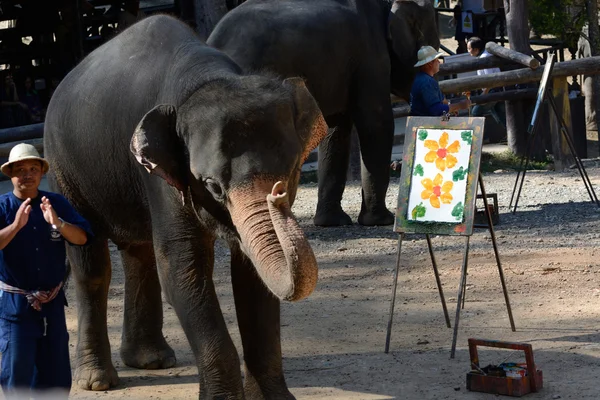 Olifant weergeven in Thailand — Stockfoto