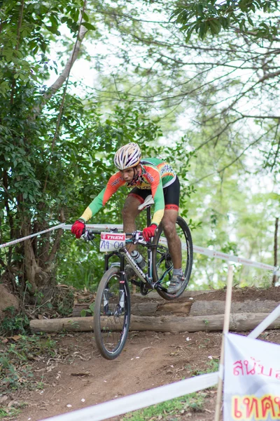 サムイ mtb xc 2014 — ストック写真