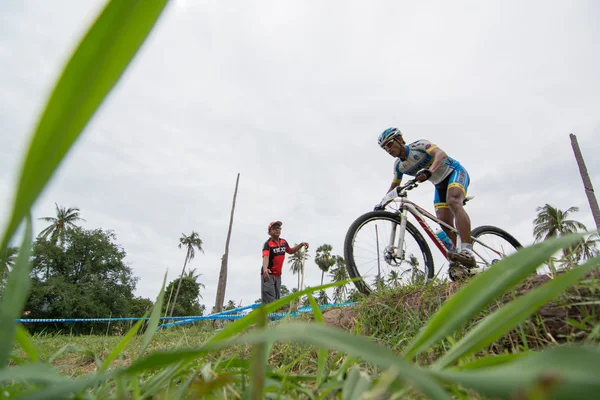 Samui mtb OLC 2014 — Stockfoto