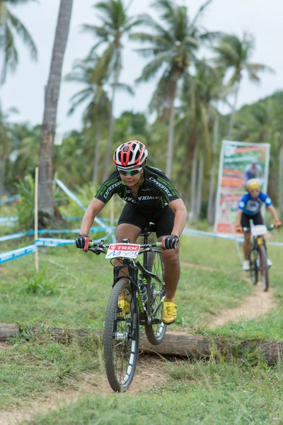 サムイ mtb xc 2014 — ストック写真