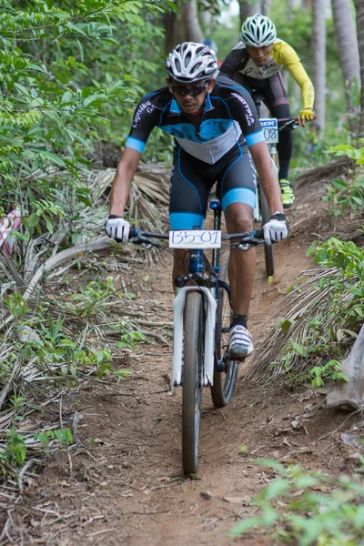 サムイ mtb xc 2014 — ストック写真