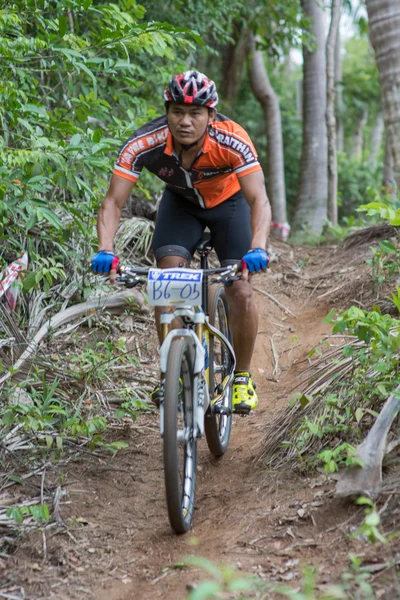 사무이 mtb xc 2014 — 스톡 사진