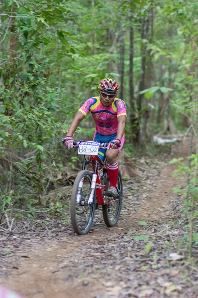 Samui Mtb Xc 2014 — Zdjęcie stockowe