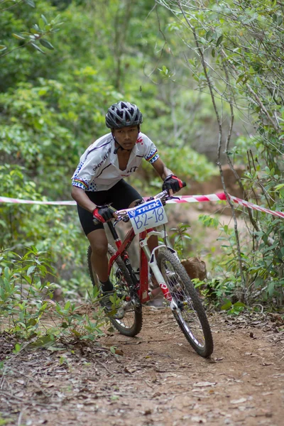 Samui mtb OLC 2014
