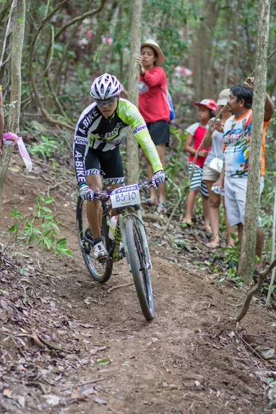 サムイ mtb xc 2014 — ストック写真