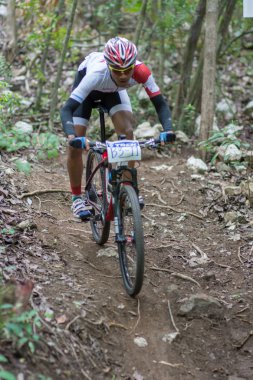 Samui mtb OLC 2014