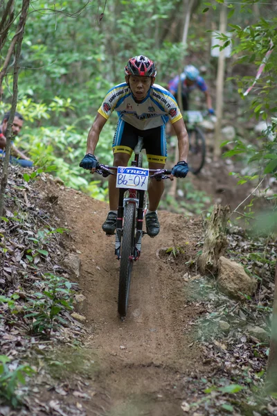 サムイ mtb xc 2014 — ストック写真