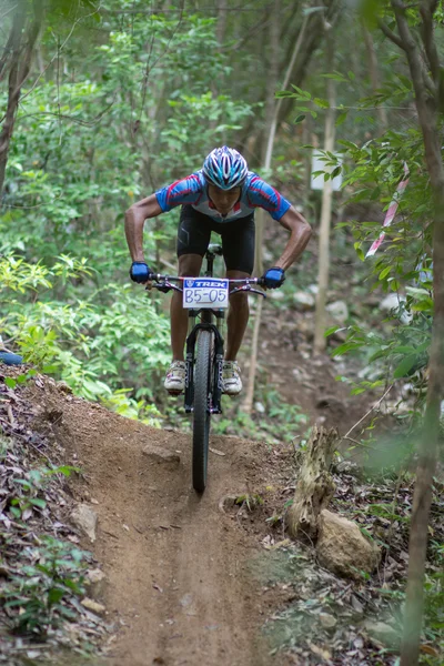 サムイ mtb xc 2014 — ストック写真