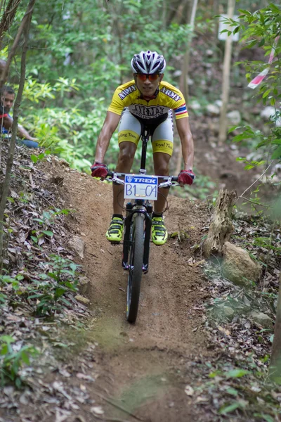 サムイ mtb xc 2014 — ストック写真