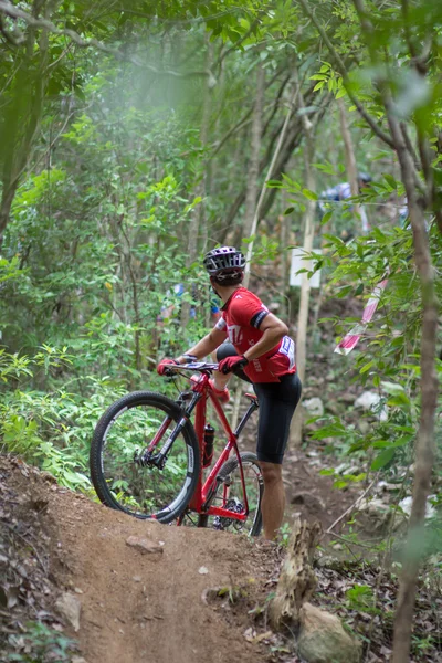 サムイ mtb xc 2014 — ストック写真