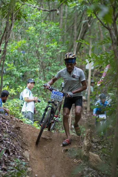 サムイ mtb xc 2014 — ストック写真