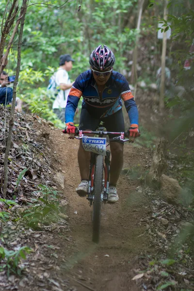 サムイ mtb xc 2014 — ストック写真