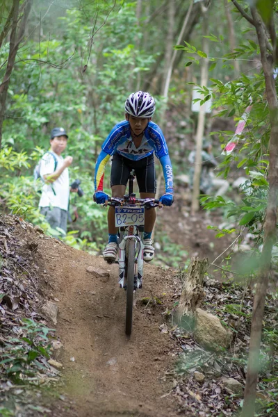 サムイ mtb xc 2014 — ストック写真