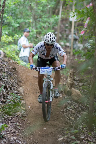 サムイ mtb xc 2014 — ストック写真