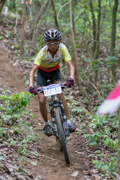 サムイ mtb xc 2014 — ストック写真