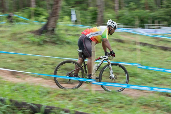 サムイ mtb xc 2014 — ストック写真