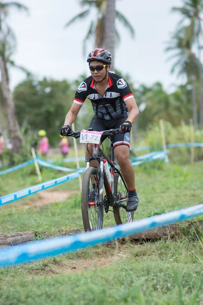 サムイ mtb xc 2014 — ストック写真