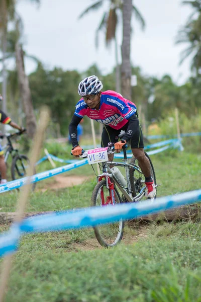 サムイ mtb xc 2014 — ストック写真