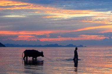 gün batımı manzarası